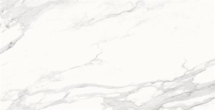 Calacatta Superb Керамогранит белый 60x120 полированный - фото 104855