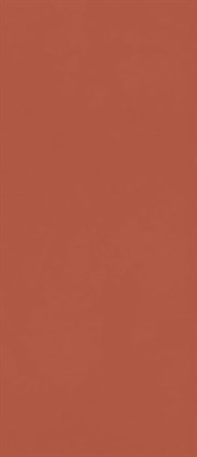 Плитка Marazzi  Grande Resin Look Rosso Cold Satin 120х278 - фото 112073