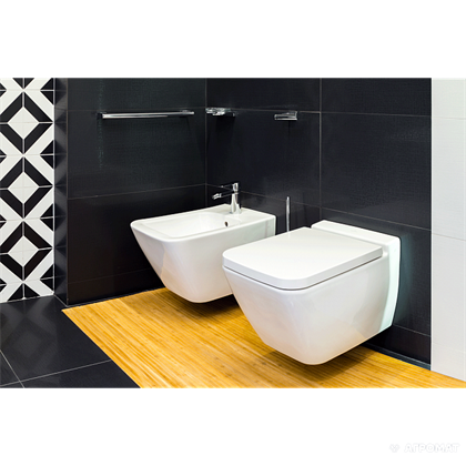 Биде подвесное Villeroy & Boch Finion 446500R1 - фото 116518