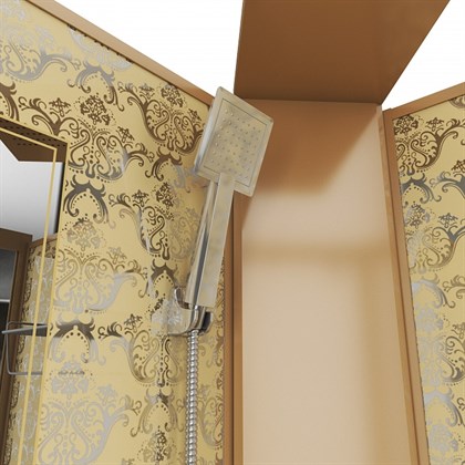 Душевая кабина Niagara Luxe NG-7799GBK 90х90х210 стекло прозрачное - фото 121121