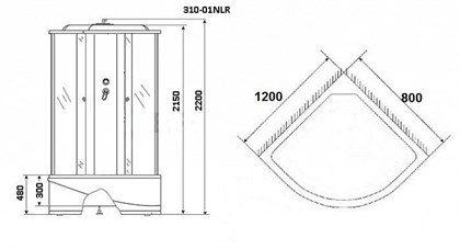 Душевая кабина Niagara Premium NG-310-01RN 120x80x220 правая с гидромассажем стекло мозаика - фото 121156