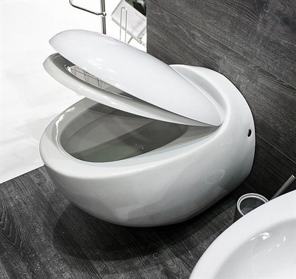 Унитаз подвесной Sanita luxe Ringo c сиденьем микролифт - фото 123262