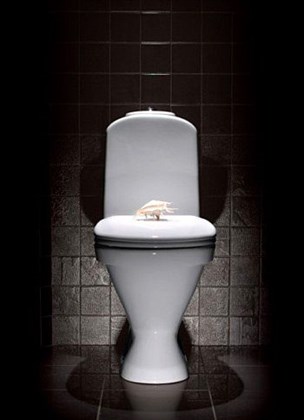 Унитаз-компакт Sanita luxe Classic сиденье дюропласт - фото 123314