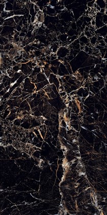 Керамогранит Arcadia Ceramica Torino Black High Gloss 60x120 - фото 128268