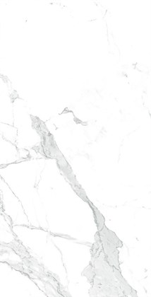 Керамогранит Arcadia Ceramica Paradise Statuario Carving 60x120 - фото 128348