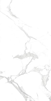 Керамогранит Arcadia Ceramica Paradise Statuario Carving 60x120 - фото 128350