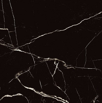 Керамогранит Arcadia Ceramica Black Spinder High Gloss 60x60 - фото 130868