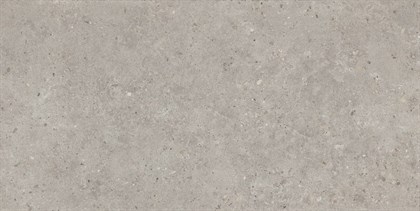 SG519920R Риккарди серый светлый матовый обрезной 60х119,5x0,9 керамогранит - фото 131243