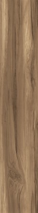 FOSSIL WOOD WENGE - фото 140061