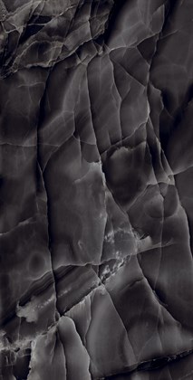 ONYX BLACK - фото 140109
