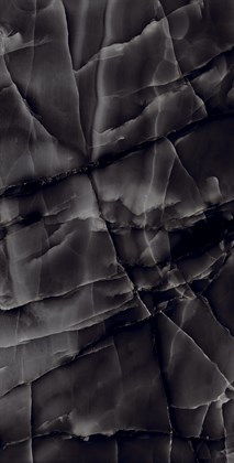 ONYX BLACK - фото 140112