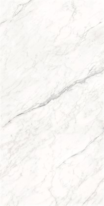 MONTESA WHITE - фото 140211