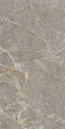 ROYAL GREY - фото 140275