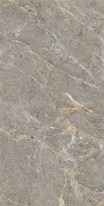 ROYAL GREY - фото 140276