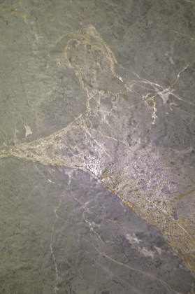 ROYAL GREY - фото 140277