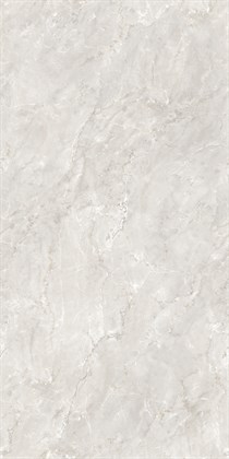 DELROY DOVE - фото 140280