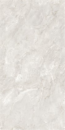 DELROY DOVE - фото 140283