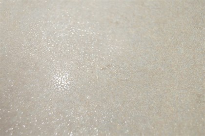 ELITE MIST - фото 140665