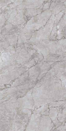 ARCTIC GREY LAPPATO - фото 140973