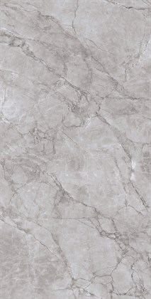 ARCTIC GREY LAPPATO - фото 140974