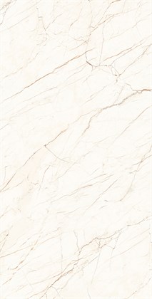 CEASAR LAPPATO - фото 140988