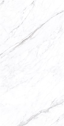 CORALINA WHITE - фото 141021