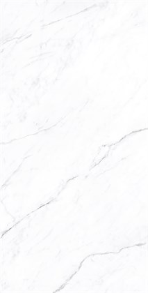 CORALINA WHITE - фото 141022