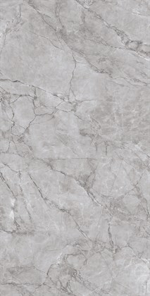 ARCTIC GREY - фото 141103