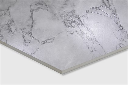 ARCTIC GREY - фото 141105