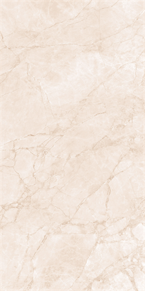 ARCTIC PEARL - фото 141108