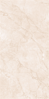 ARCTIC PEARL - фото 141111