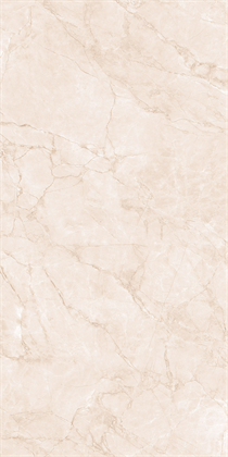 ARCTIC PEARL - фото 141112