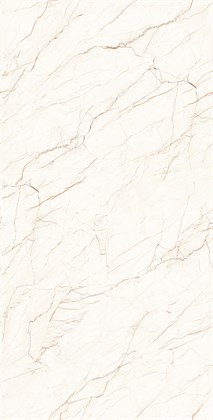 CEASAR - фото 141120