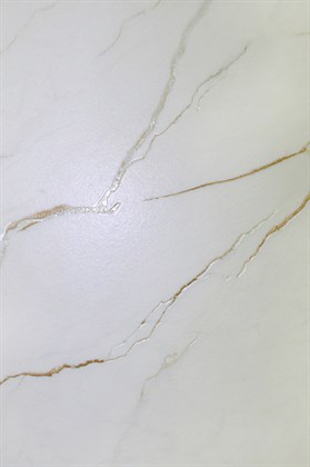 CEASAR - фото 141121