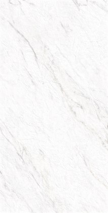 LAZIO BIANCO - фото 141243