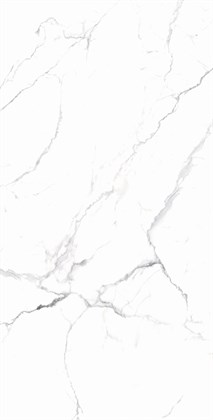 CARARRA WHITE - фото 141251