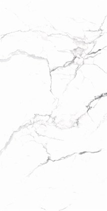 CARARRA WHITE - фото 141255