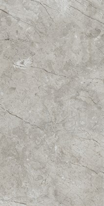 MARCUS GRACIA - фото 141260