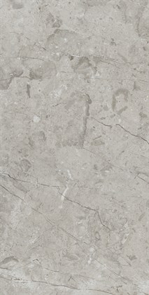 MARCUS GRACIA - фото 141261