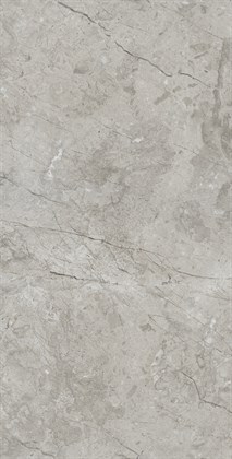 MARCUS GRACIA - фото 141263