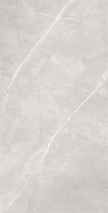 Armani Silver - фото 141293