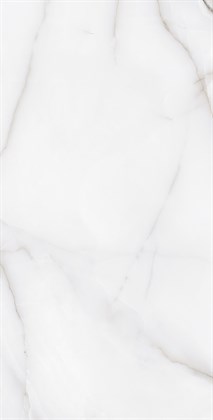 FEATHER ONYX - фото 141300