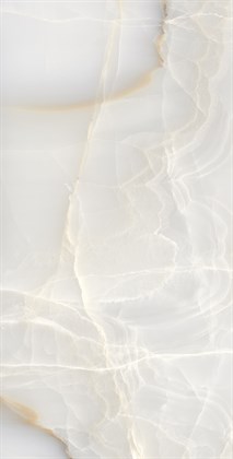 ONYX MAX - фото 141374