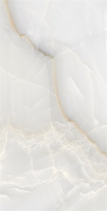 ONYX MAX - фото 141375