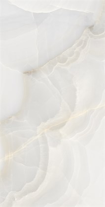 ONYX MAX - фото 141378