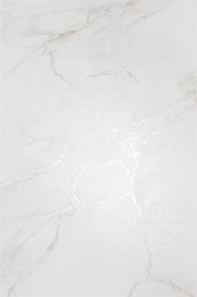 ARCTIC WHITE CARVING - фото 141432