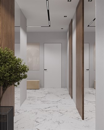 BORGHINI SILVER - фото 141437