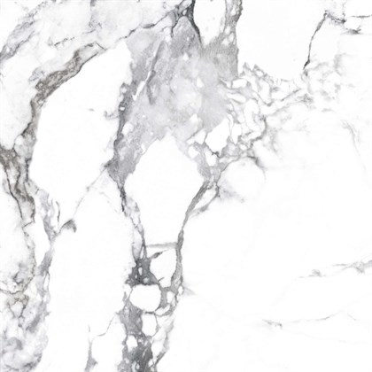 BORGHINI SILVER - фото 141441