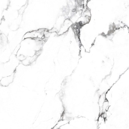 BORGHINI SILVER - фото 141445