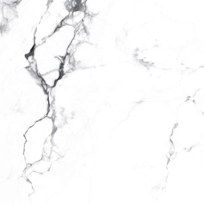 BORGHINI SILVER - фото 141450